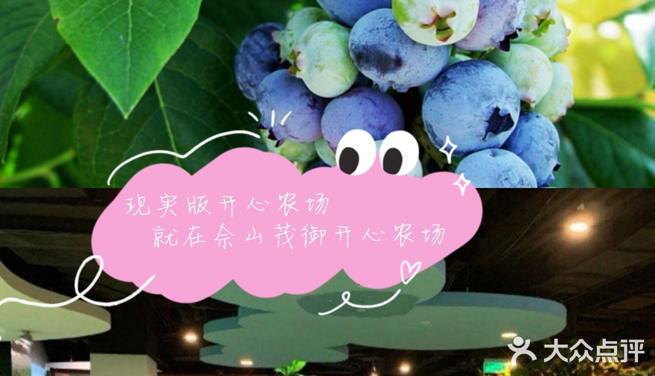 拯救不开心[亲亲]→佘山茂御开心农场[糖果]