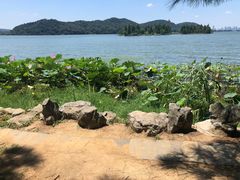 -东湖落雁景区