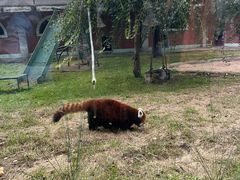 -哈尔滨北方森林动物园