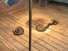 -石家庄市动物园