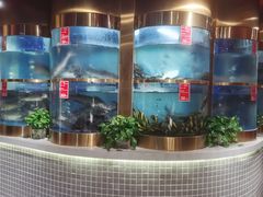 水产区-蜀滋香鲜鱼美蛙火锅(339店)