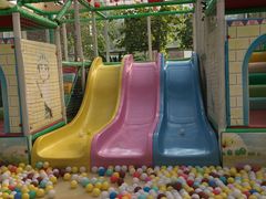 -南宫五洲植物乐园