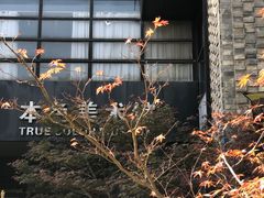 -苏州本色美术馆