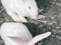 -SHRIMP CLUB万东餐饮钓虾·清吧