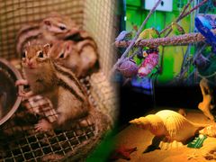 -梦幻海洋王国(吾悦广场张家港店)