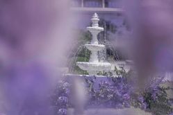 -忆江南婚礼策划(姑苏店)