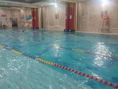 -飞鲨游泳培训学校