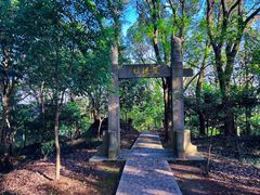 -上海佘山国家森林公园天马山园