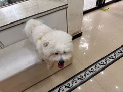 -宠颐生汉谟拉比宠物医院