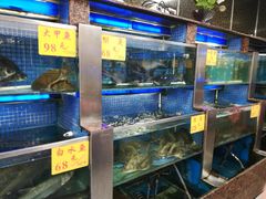 水产区-金八仙酒店