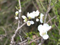 -洛阳市隋唐城遗址植物园