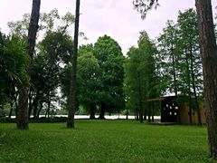 -南宁良凤江国家森林公园