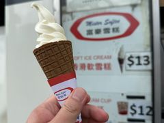 -富豪雪糕车流动点(尖沙咀店)