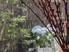 -汤宴·参须肚包鸡(南京路店)