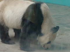 -石家庄市动物园