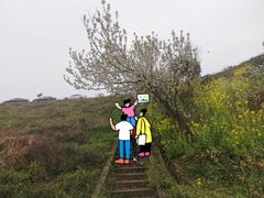 -樱桃山旅游景区