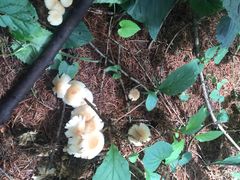 -丹东天桥沟景区