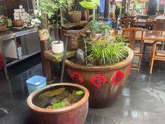 -小小饭店·休闲农庄·安吉松树林里的农家菜