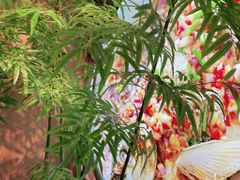 -湘邻呷铺·田园家宴(汉基广场店)