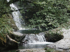 -龙苍沟森林公园