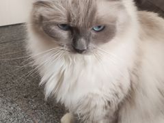 -零纪元VR体验馆·桌游(黄浦店)