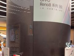 -sundanpulse顺电·脉(海岸城购物中心店)