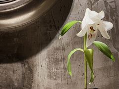 -HOME餐厅粤菜 融合菜