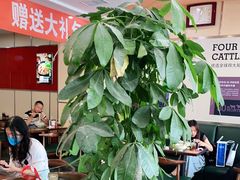 -李先生牛肉面大王(营口大润发店)