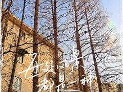 -一尺花园(安和花园店)