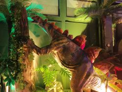 -恐龙探索乐园(磁器口店)