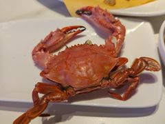 -佳和水饺(海德公馆店)