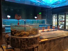 -海立阁海鲜江浙菜(漕河泾印象城店)