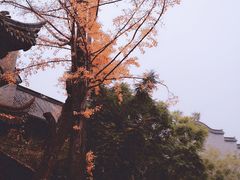 -龙潭水乡