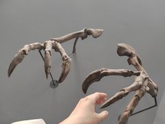 -重庆自然博物馆(新馆)