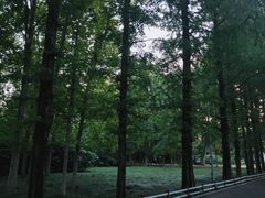 -柳树湾风景区
