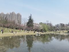 -堤角公园
