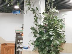-听涛雅苑百味饺子老家菜馆