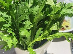 茼蒿-浩爷羊蝎子火锅(望京店)