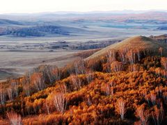 -塞罕坝国家级自然保护区