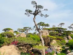 -罗红摄影艺术馆