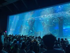 -哈尔滨波塞冬海底世界