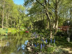 -上海共青森林公园