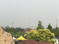 -北京西山国家森林公园