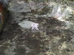 -呀诺达热带雨林