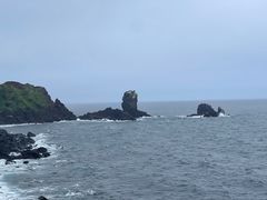 -涉地可支