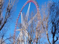 -哈尔滨文化公园