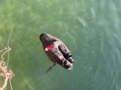 -宫事颐庭·老佛爷贵寿下午茶(颐和园店)