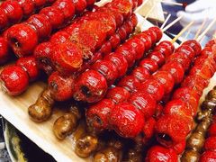-和禄德冰糖葫芦