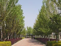 -金城公园