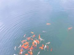 -安吉涵田度假村·水榭居中餐厅